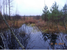 DSCN3667.JPG