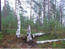 DSCN3686.JPG