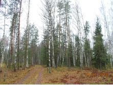DSCN3693.JPG