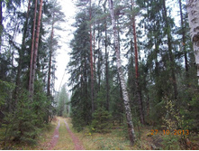 DSCN3697.JPG