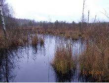 DSCN3701.JPG