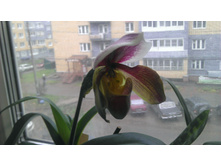 28.10.2013 11:29:35