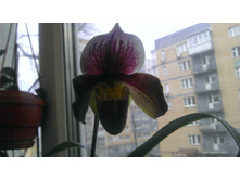 28.10.2013 11:32:43