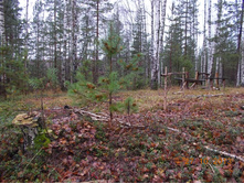 DSCN3722.JPG