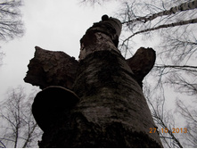 DSCN3723.JPG