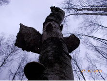DSCN3724.JPG