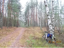 DSCN3727.JPG