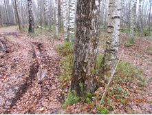 DSCN3732.JPG