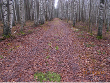 DSCN3734.JPG