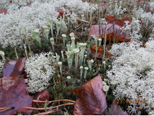 DSCN3738.JPG