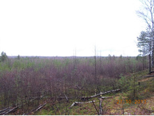 DSCN3739.JPG