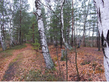 DSCN3741.JPG
