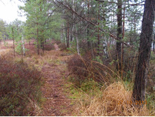 DSCN3743.JPG