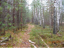DSCN3750.JPG