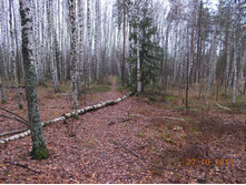 DSCN3753.JPG