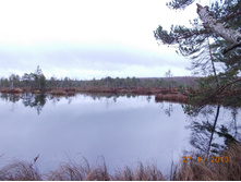 DSCN3756.JPG