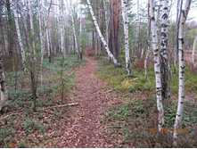 DSCN3761.JPG