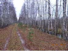 DSCN3772.JPG