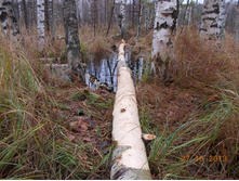 DSCN3773.JPG
