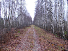 DSCN3774.JPG