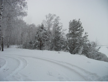 DSCF1683.JPG