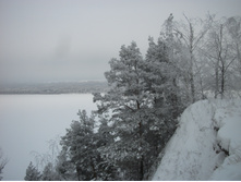 DSCF1687.JPG