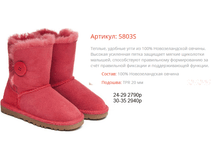 5803S �������.png