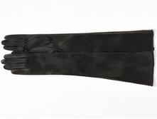 K81-ANE-40-BL-1.JPG