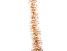 025-����� ������ ����� ����� �������.png
