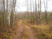 DSCN2229.JPG