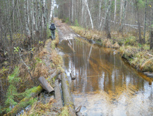DSCN2239.JPG
