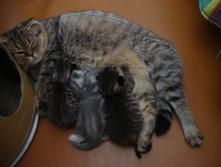 DSC01052.JPG