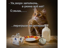 7260792.Mis--_Peregrizi_im_Internet-.jpg