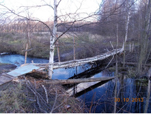 DSCN3800.JPG