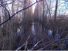 DSCN3804.JPG