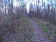 DSCN3807.JPG