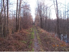 DSCN3814.JPG