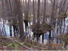 DSCN3815.JPG