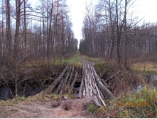 DSCN3816.JPG