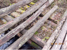 DSCN3817.JPG