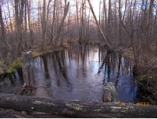 DSCN3818.JPG