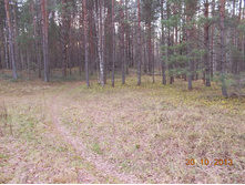 DSCN3823.JPG
