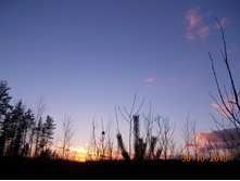 DSCN3847.JPG