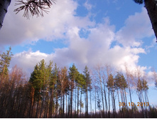 DSCN3827.JPG