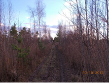 DSCN3830.JPG