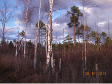 DSCN3831.JPG