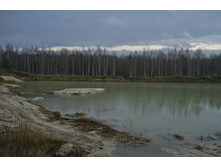 DSCF2561.jpg