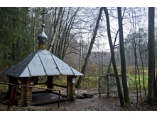 DSCF2578.jpg