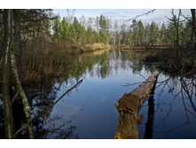 DSCF2604.jpg