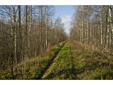 DSCF2609.jpg